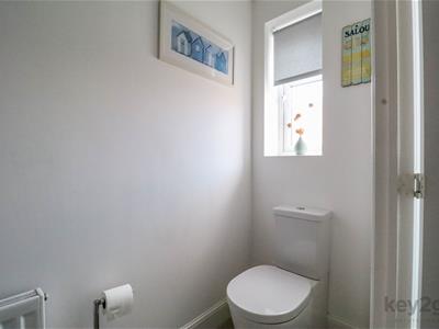 Picture 7